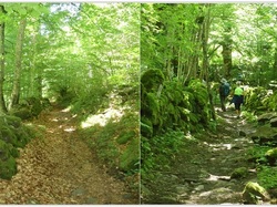 Illustration de la galerie