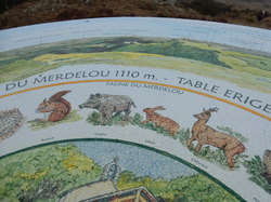 Illustration de la galerie