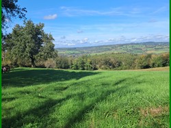 Illustration de la galerie