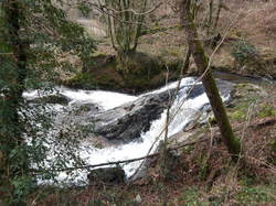 Illustration de la galerie