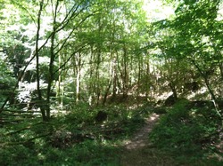 Illustration de la galerie