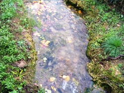 Illustration de la galerie