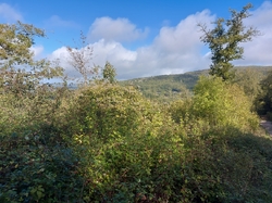 Illustration de la galerie