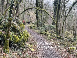 Illustration de la galerie