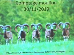 Illustration de la galerie