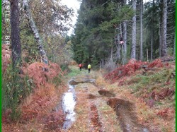 Illustration de la galerie