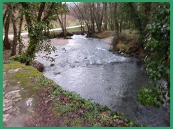 Illustration de la galerie