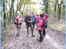 Illustration de la galerie