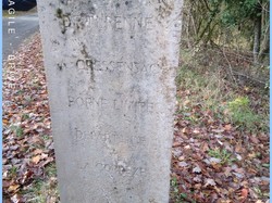 Illustration de la galerie