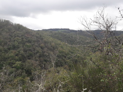 Illustration de la galerie