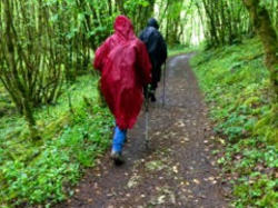 Illustration de la galerie