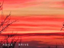 Illustration de la galerie