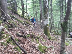 Illustration de la galerie