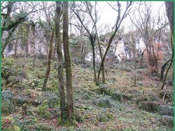 Illustration de la galerie