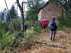 Illustration de la galerie