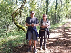 Illustration de la galerie