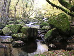 mini_les-gorges-de-la-correze-31-10-2011-5c9f59c208fdc.jpg