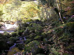 mini_les-gorges-de-la-correze-31-10-2011-5c9f5b16e2e6a.jpg