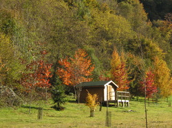 mini_les-gorges-de-la-correze-31-10-2011-5c9f5b5b80a8a.jpg