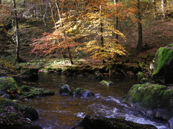 mini_les-gorges-de-la-correze-31-10-2011-5c9f5b5bb85e6.jpg