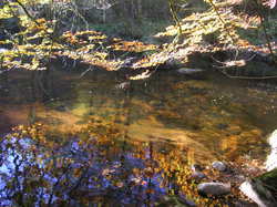 Illustration de la galerie