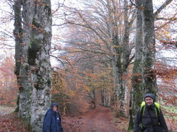 Illustration de la galerie