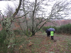 Illustration de la galerie