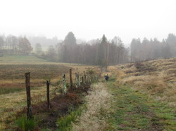 Illustration de la galerie