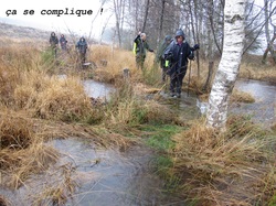 Illustration de la galerie