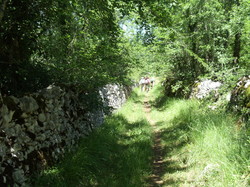 Illustration de la galerie