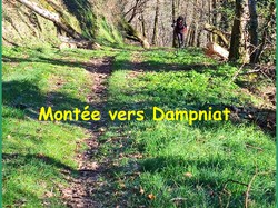 mini_malemort-dampniat-695cda3566018.jpg