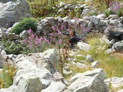 Illustration de la galerie