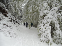 Illustration de la galerie