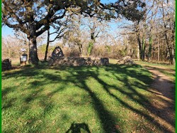 Illustration de la galerie