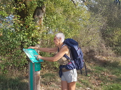 Illustration de la galerie