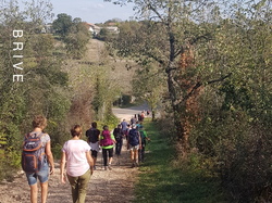 Illustration de la galerie