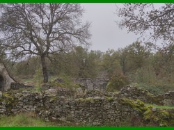 Illustration de la galerie