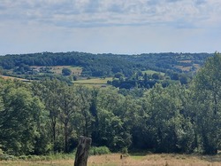 Illustration de la galerie