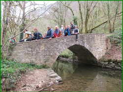 Illustration de la galerie