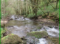 Illustration de la galerie