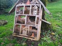 Illustration de la galerie