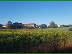 Illustration de la galerie