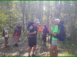 Illustration de la galerie