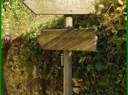 Illustration de la galerie