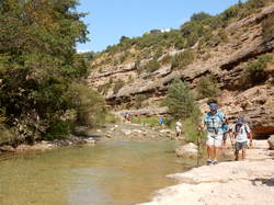 Illustration de la galerie