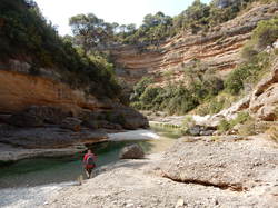 Illustration de la galerie