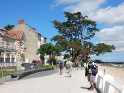 mini_sejour-ile-d-oleron-62caf5517b9f3.jpg