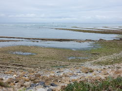mini_sejour-ile-d-oleron-62cbda2e398cb.jpg