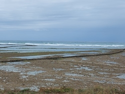 mini_sejour-ile-d-oleron-62cbda98b32be.jpg