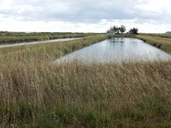 Illustration de la galerie